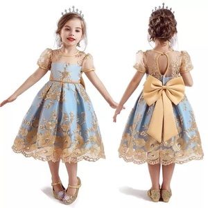 Elegant Lace Embroidery Girl's Dress